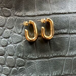 Anine Bing gold earrings